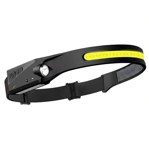 VisiPro
